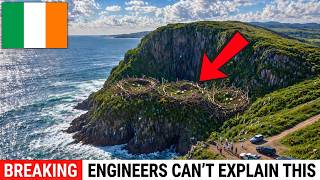 Ireland Released 245 Eagles Into a Dead Coast — What They Did With Sticks and Talons Is Insane