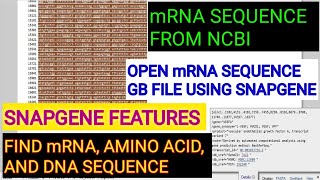 Download mRNA sequence from ncbi database ll Download gb file of mRNA sequence ll Xgene And proteinX