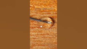 Syringe Symphony: When Water Drops Start Bubble Ballet (Hypnotic ASMR Science) #micro #asmr