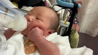 Two day old baby drinks milk❤