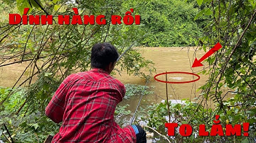 Câu cá lăng,tôm càng đầu mùa mưa/tìm ra chỗ câu mới giật cá lăng to & tôm càng đã luôn