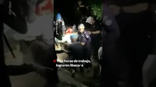 Seis días después de los terremotos rescatistas sacaron con vida a un niño | Noticias Telemundo