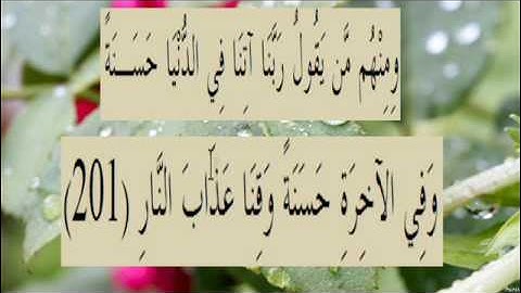 القران الكريم سورة البقرة الاية 201