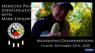 Medicine Picking &amp; Identification with Mark Eshkawkogan - September, 2020 - Zhashkwedoons/Mushrooms