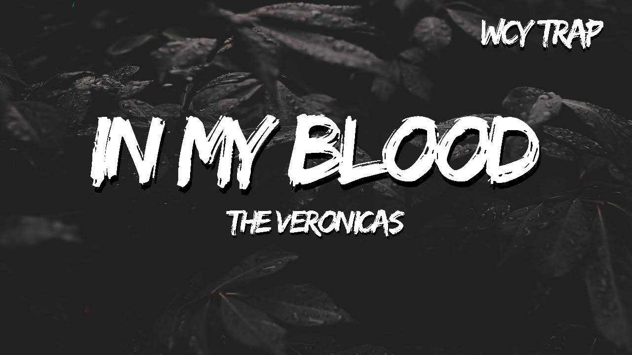 The Veronicas - In My Blood (Lyrics) - YouTube