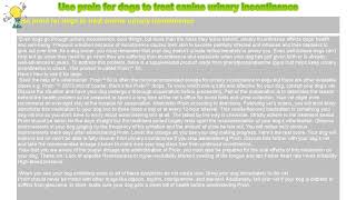 How to : Use proin for dogs to treat canine urinary incontinence