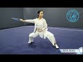 Master hung xueqin taijifun demonstration at 2nd international taiji science forum