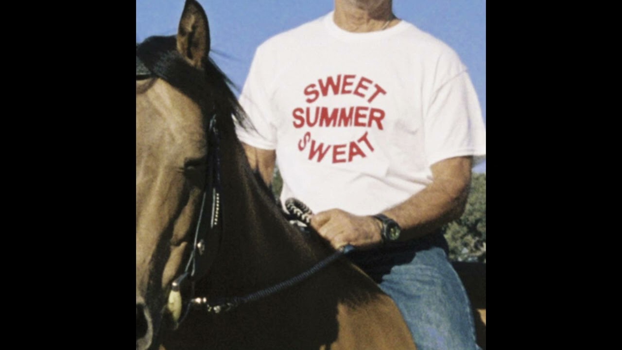 [FREE] Dijon x Clairo Type Beat | "The End"