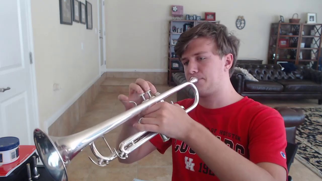Coffin Dance Trumpet Solo (Totally Professional) YouTube