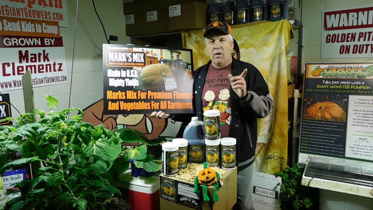 Big Orange 2000 lb Giant Pumpkins