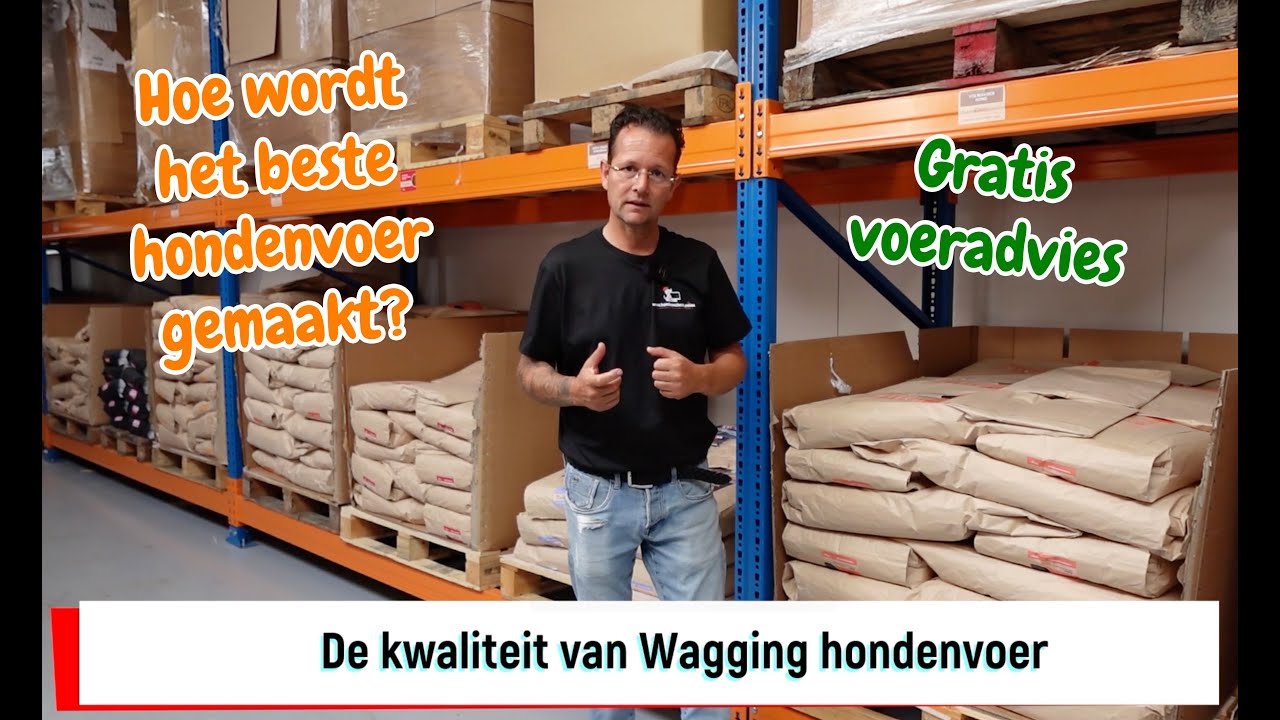Zó wordt het hondenvoer gemaakt waar ik 100% achter sta – dit is Wagging
