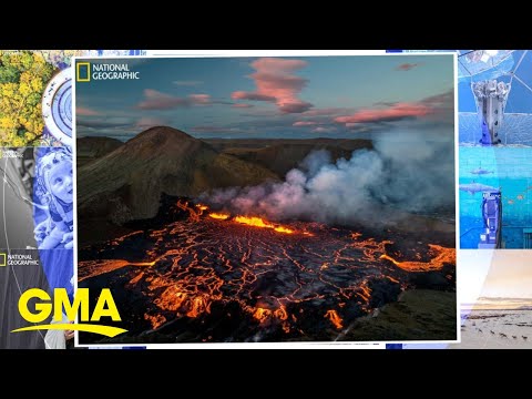 A look inside national geographic's pictures of the year issue