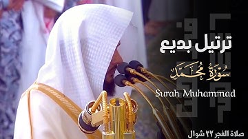 " والّذين اهتدَوا زادهُم هدًى " ترتيل بديع لفواتح سورة محمد للشيخ عبدالله القرافي ~ فجر 22-10-1446هـ