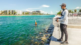 Pitching Live Bait for Non-Stop Mangrove Snapper Action!