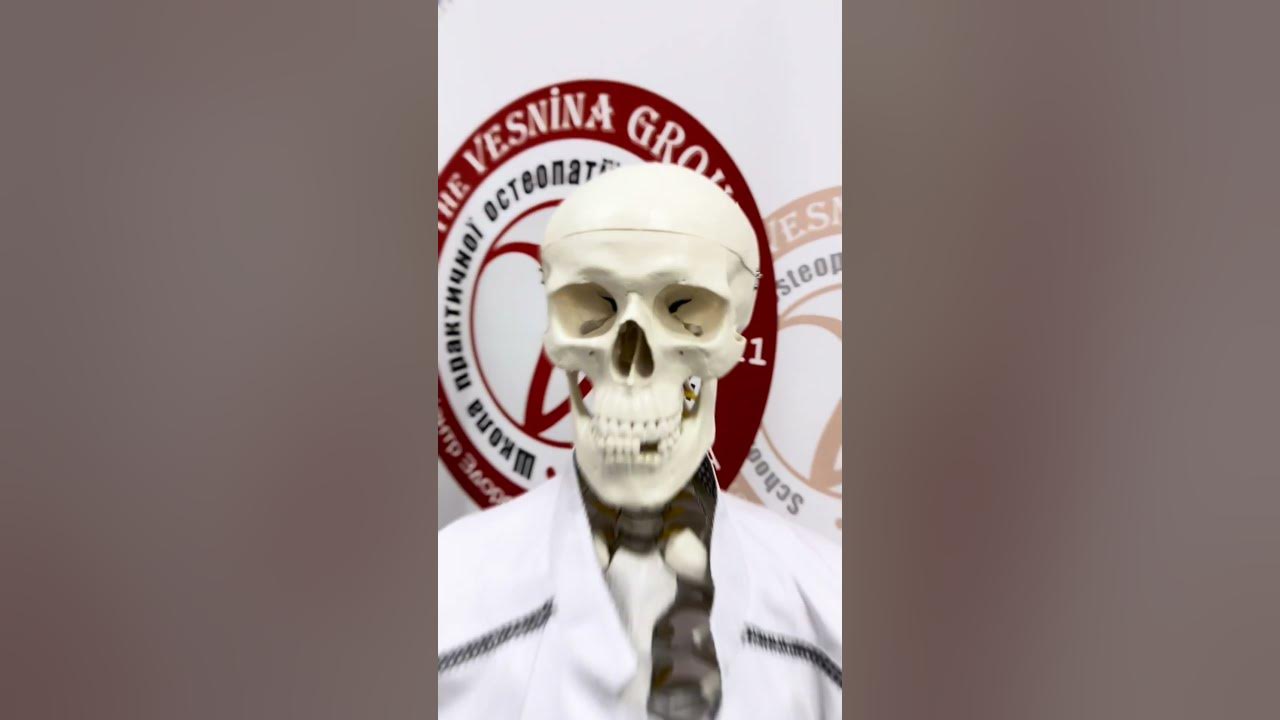 Структуральна остеопатія 2 рівень - процес навчання - YouTube