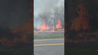 🔥 Controlled Burn at Middle Creek Wildlife Management Area in Pennsylvania 🔥