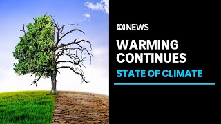 BOM and CSIRO report shows climate is warming, making natural disasters more frequent | ABC News