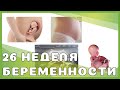 26 неделя беременности: изменения у мамы и малыша, выделения, ощущения, секс, рекомендации