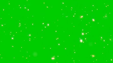 Hiệu ứng hoa anh đào rơi nền xanh Full HD