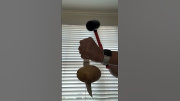 Potato of Inertia (Explanation and directions in description) #experiment #physics #viralvideo