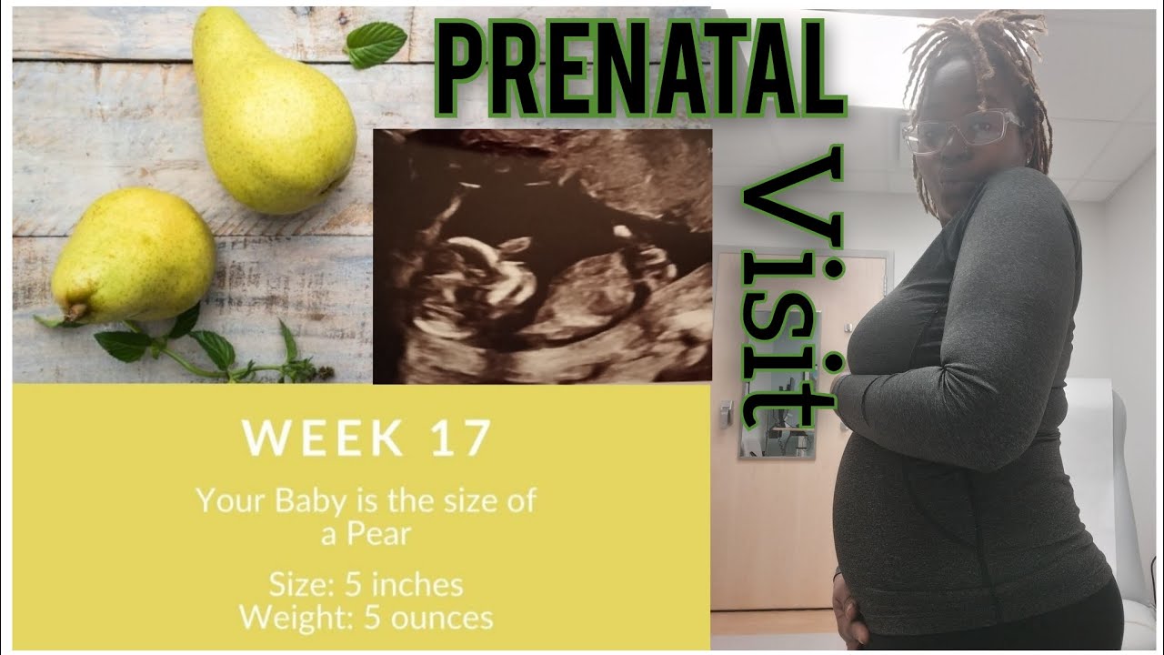 What Happens At Your 17 Week Appointment What Happens At Your 17 Week Appointment
