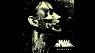 Anaal Nathrakh - Forging Towards The Sunset