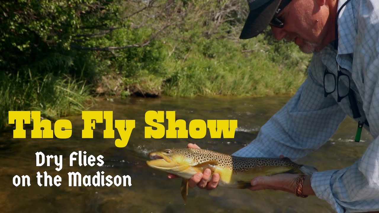 Келли Галлоуп ловит рыбу на сухие мушки на реке Мэдисон.