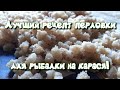 Лучшая перловка для рыбалки на карася!