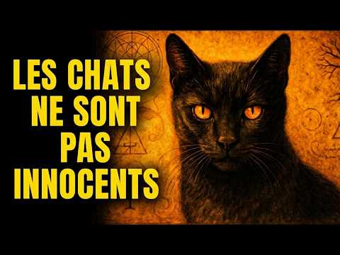 Bénéficiez d'un chat Herahaven gratuit et rapide : Découvrez notre pendant exceptionnel