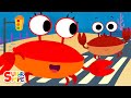 The Crabs Go Crawling FinnyTheShark Counting Song Super Simple Songs mp3