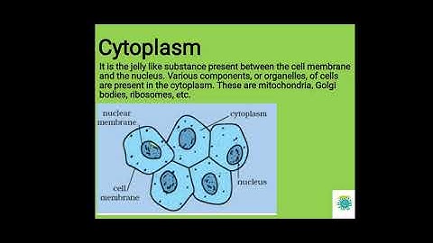 NCERT SCIENCE Class - VIII ch.8. Cell - Structure and Function