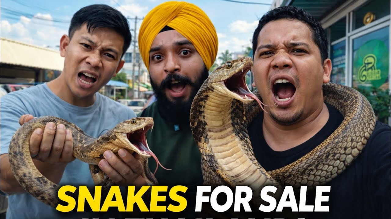 Thailand 🇹🇭 ਚ ਸੱਪਾਂ ਦੀ ਮੰਡੀ || Chatuchak Weekend Market Thailand Sikh Traveller Punjabi Travel vlogs