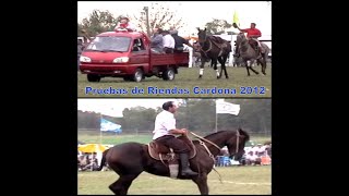 Pruebas de Riendas por 1 camioneta en Revancha del Prado Cardona