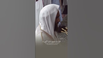 الشيخ احمد بن طالب سورة المطففين