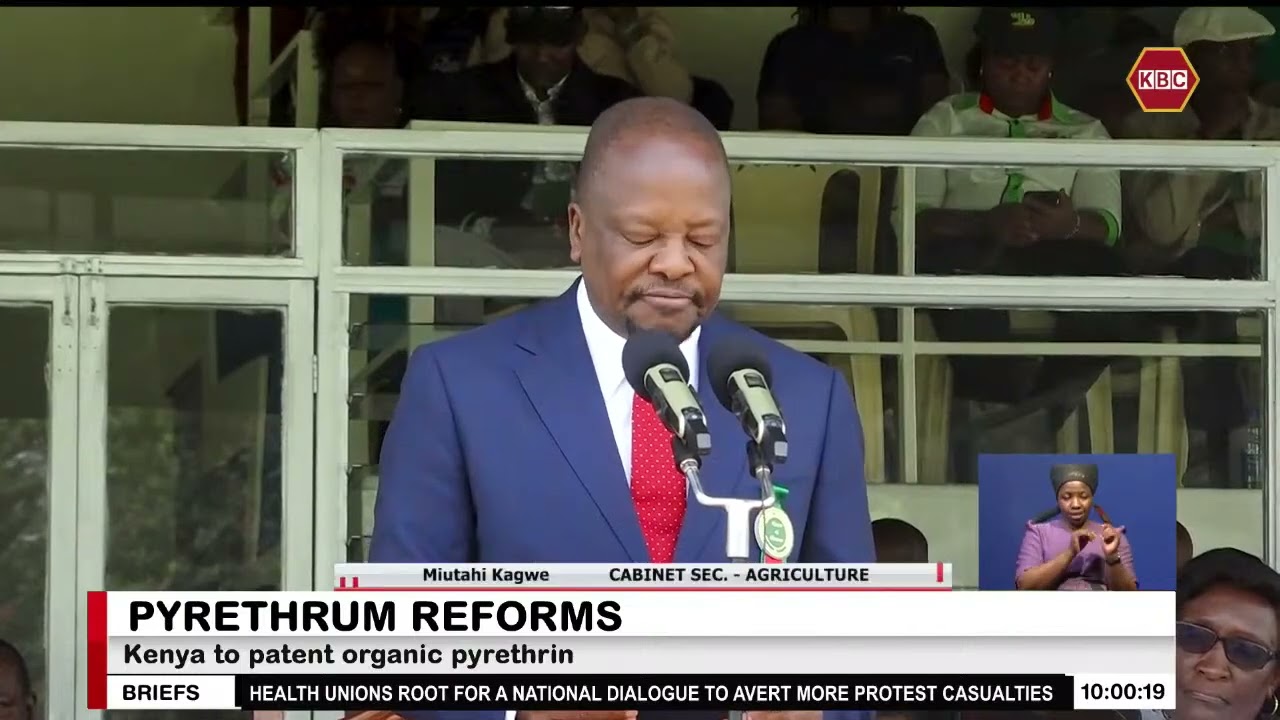 Government sets up a new Pyrethrum Board