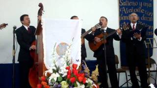 Video thumbnail of "Rondalla Cantico Nuevo "Creo en Ti" en vivo"