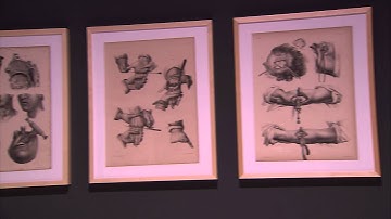 Unstable Territory exhibit at Strozzina, Florence