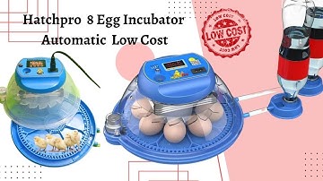 How to use hatchpro 8 egg incubator automatic low cost | Mini household egg incubator