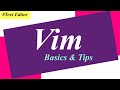 Vim basics  vim tips  text editor  unixwindows