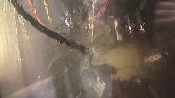 INDEX MS32C CNC Multi-Spindle