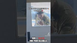 THIS IS AN ARROGANT ABUSIVE THIEF‼️ NOT TO BE TRUSTED⚠️ #npdsurvivor #npdawareness #fypyoutube