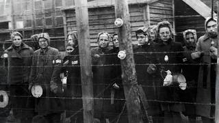 Female German POWs Broke Down After Seeing Americans Treat Them Like...