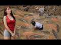 Harvest Giant Fish in Wild River: Incredible Bare Hand Fishing Skills of a Mountain Girl