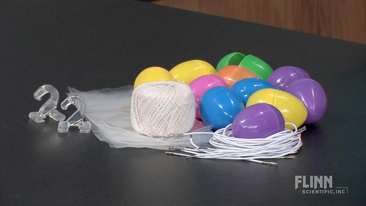 About the BungeeJumping Egg Lab Kit YouTube