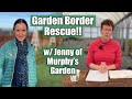 Rosy rescues a problem garden border w murphysgarden