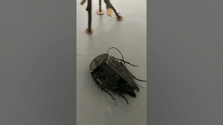 "Persistent Object", Cindy Rucker Gallery 2021, Vi...