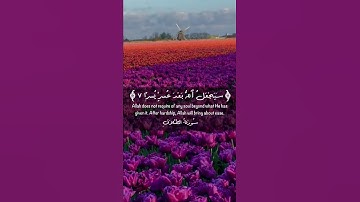 أكتب شيء يشفعلك وتؤجر عليه 🕊.  القارئ: ماهر المعيقلي.‫ #قران‬ ‫#قران_كريم‬ ‫#قرآن_كريم‬ ‪#quran