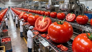 INSIDE A KETCHUP FACTORY How Mass Production Turns Tomatoes into Heinz Ketchup