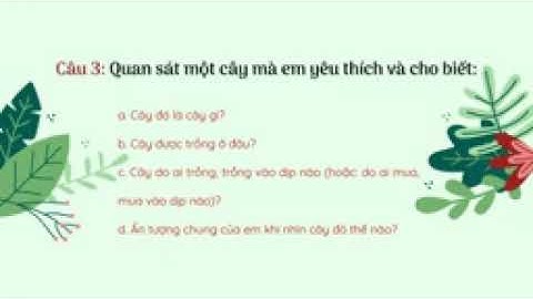 Tập làm văn  Luyện tập xây dựng mở bài đoạn văn miêu tả cây cối   tuần 25   Tiếng Việt lớp 4 OLM VN