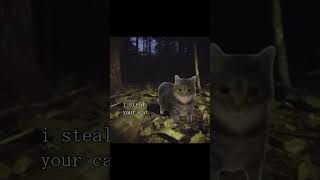 Scary Oiia Cat